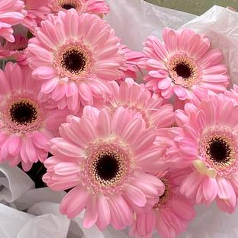 Букет Розовая птичка