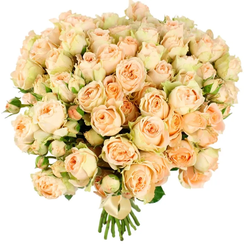 Розы Пионовидные бежевые